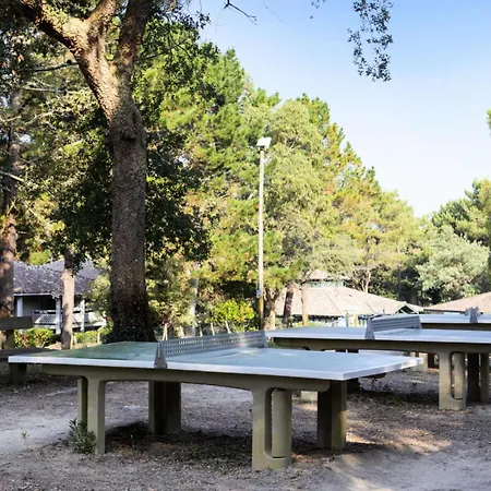 Village Moliets - Maeva Home - Appartement 6 Personnes 1 Chambre 1 Coin Cabine Avec Terrasse Et Parking Mae-2750 Moliets-et-Maa